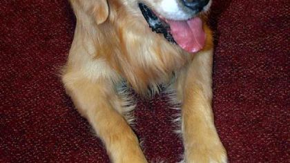 Xante, a bit thinner, returned on Wednesday to the PG newsroom.