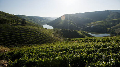 Douro Valley, Portugal.