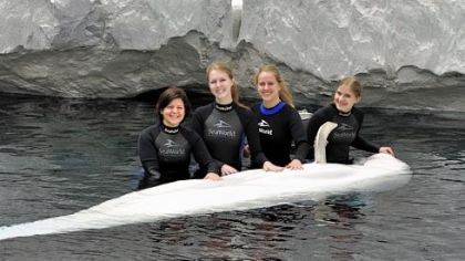 Three Northgate High School students swam with whales at Sea World in San Diego as winners of Project Polar Bear. The students created a recycling project and assembly for the contest. From left are teacher Jane Majerac and winning students Rachael Robertson, Sarah Amick and Rachelle Mortimer.