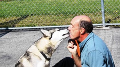 Helo, the dog that mauled 3-day-old Howard Nicholson on Feb. 16, will be sent to an out-of-state sanctuary that specializes in the handling of dangerous dogs. "The intention was to keep society and the community safe," Deputy District Attorney Laura Ditka said.