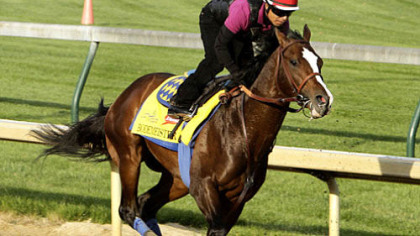 'America's Premier Sporting Event': Why the Kentucky Derby captivates