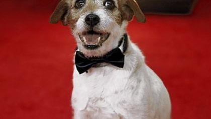 Uggie portrays the faithful companion to George Valentin in "The Artist" and is a nominee for a Rosie Award.