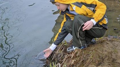Conservation one part of statewide Trout in the Classroom program