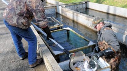 A privately owned trout hatchery in the Laurel Highlands supplies fun and value