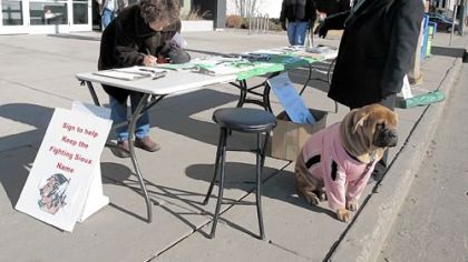 Charles Tuttle, a backer of the University of North Dakota's Fighting Sioux nickname, and his dog, Bella, an Italian cane corso, watch as a woman signs petitions supporting the nickname in front of the federal courthouse in Bismarck, N.D. The University of North Dakota resumed using the nickname despite threats of NCAA sanctions.