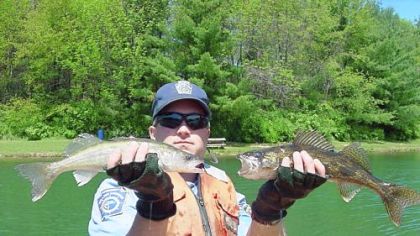 At Pymatuning Lake, hearty walleyes stocked in 2009 are reaching legal size