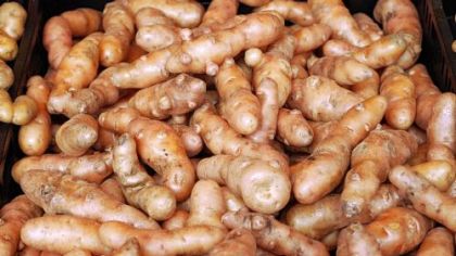 Fingerling potatoes.