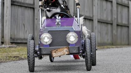 Waffle rides in his child-size Model A, crafted by Gregg McCandless of Butler.