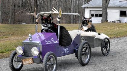 Waffle "steers" the child-size Model A as Tirzah rides in the rear cart.