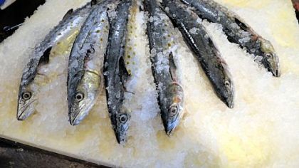 Spanish mackerel at the Penn Avenue Fish Co. in the Strip District.