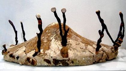 San Francisco artist Philip Ross creates sculptural and architectural works by controlling the growth of the Ganoderma lucidum fungus. His work is part of "Intimate Science," which opens Friday at the Miller Gallery at Carnegie Mellon University.