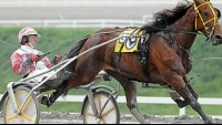 Harness racing's Dave Palone is looking for the the golden number