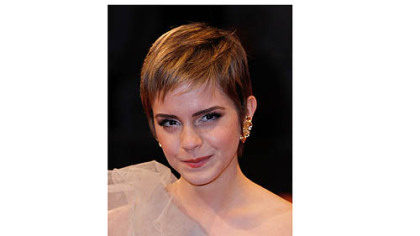 Film Notes: MTV Movie Awards will include 'Perks,' Wiz