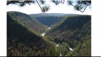 Pennsylvania Grand Canyon a spectacular draw in spring, summer and fall