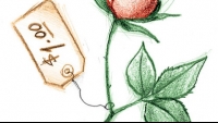 Random Acts of Kindness: A Mother's Day rose that smelled especially sweet