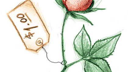 Random Acts of Kindness: A Mother's Day rose that smelled especially sweet