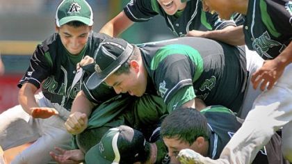 Allderdice players mob winning pitcher Kevin Silvio, bottom, after defeating Brashear in the City League baseball championship Thursday at PNC Park. Allderdice came from behind to win, 4-2.