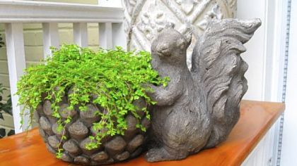 Pots with panache: tips for DIY containers