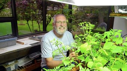 Hank Brinzer of Clinton grows plants using a technique called aquaponics. Water from a fish tank is pumped up to a tray of plants to feed them. The water then slowly drains back into the tank.