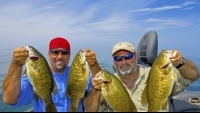 Smallmouth bass crowd several Erie County streams on spawning runs that date to the last Ice Age