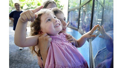 Pittsburgh zoo's interactive wall is hit among youthful 'experts'