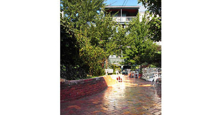 The backyard after renovation.