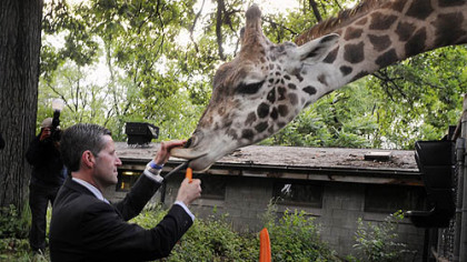 Terrance Krysinski has a carrot for Mel, a 5-year-old Masi giraffe.