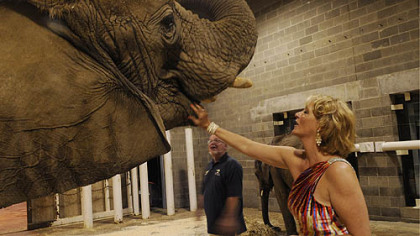 Deb Bergren with Tasha and Willie Theison, elephant manager, in the background.
