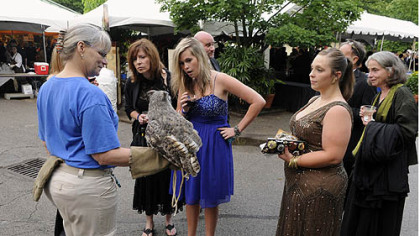 Laurie Machen holds a great horned owl for the crowd.