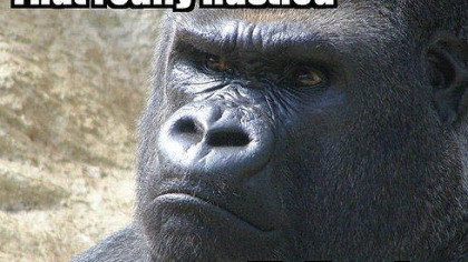 Rustled My Jimmies: A goofy 1950s phrase usually featuring a frowning gorilla.