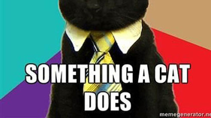 Business Cat: A spin-off of Advice Dog, this cute feline, usually in front of a colorful background, gives advice.