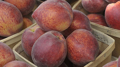 Peaches at the Bethel Park Farmers Market