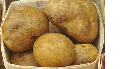 potatoes from Harvest Valley Farms at the  East Liberty market.