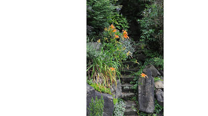 Steep stone steps cut through the wall that borders the front of the property.