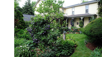 The backyard looking toward the back porch. The free-standing pear espalier is in the foreground.