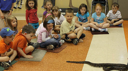 Birundi, 19, a ball python native to Africa, visits with children during Zoo Camp, Pittsburgh Zoo & PPG Aquarium's summer program for children ages 4 to 13. The camp, now in its 25th year, aims to teach campers about zoo animals and conservation through animal encounters, guided tours and classroom lessons.
