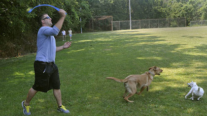 Tom Zwergel plays with Crosby, a 2.5-year-old lab-hound mix, and Aspen, right, a 2.5-year-old female Jack Russell terrier at Olympia Park on Mount Washington today. Mr. Zwergel is a supporter of the dog park.