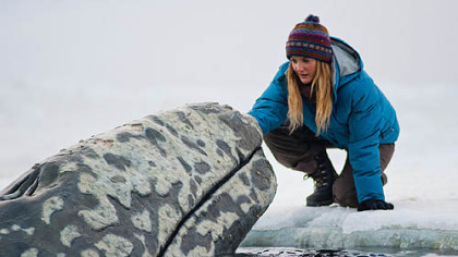 Drew Barrymore offers comfort to one of the trapped whales in the rescue adventure "Big Miracle."