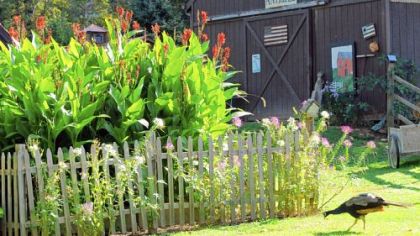 Nada and Frank Sarkin's Schnoodleberry Farm in Butler County will be on the Southern Butler County Garden Club tour July 7. Besides flowers, you will find alpacas, llamas, peacocks, a horse, a donkey and a young emu.