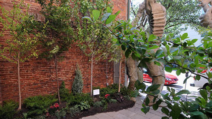 Project Pop Up: An "urban forest" has been planted in the Sprout Fund Comic Courtyard at the ToonSeum along Liberty Avenue.