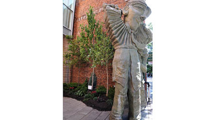 Project Pop Up: An "urban forest" has been planted in the Sprout Fund Comic Courtyard at the ToonSeum along Liberty Avenue.