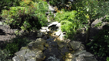 Water flows down the hillside into a Koi pond.