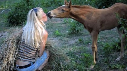 Jen Urksa of Arabian Rescue Mission spends time with one of more than 40 horses being relocated after being rescued last week from a farm in Cecil.
