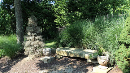 Gary Dinsel garden.