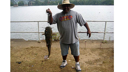Wayne McNeill of Homewood fought this 20-inch flathead for 15 minutes before hauling it out of the the Allegheny River.