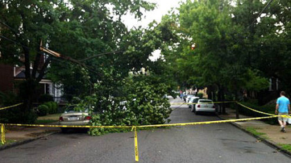 A downed tree is blocking Howe Street in Shadyside.