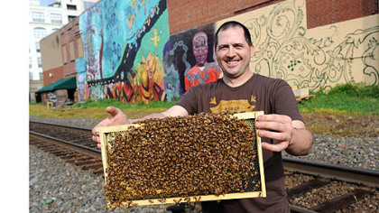 Burgh Bees vice president and apiary director Stephen Repasky with some new residents at the Whole Foods Market in East Liberty.