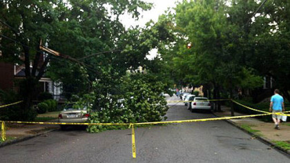 A downed tree blocks Howe Street in Shadyside after heavy thunderstorm swept through the region Wednesday.