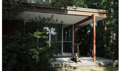 Ed Pariser's Bernese mountain dog Otto relaxes on the porch off the living room.