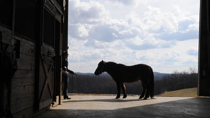 The estate offers a six-stall barn with a tack room and wash area, and several fenced-in pastures and riding trails at the rear of the property.